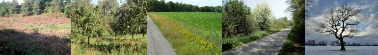 Mosaik aus Landschaftsfotos